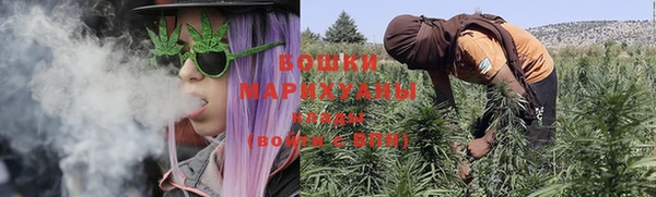 ПСИЛОЦИБИНОВЫЕ ГРИБЫ Абдулино